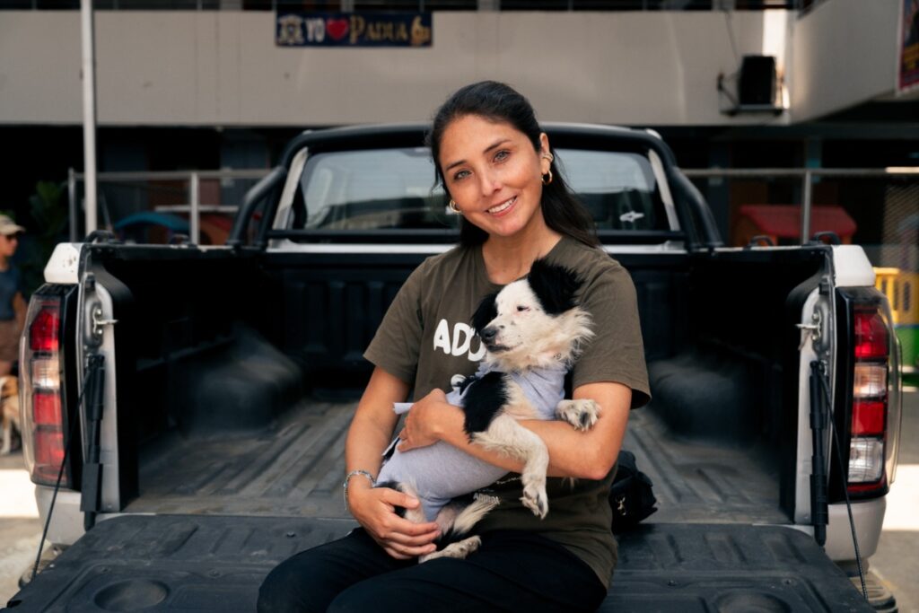 JMC realiza más de 100 esterilizaciones caninas gratuitas en San Juan de Lurigancho