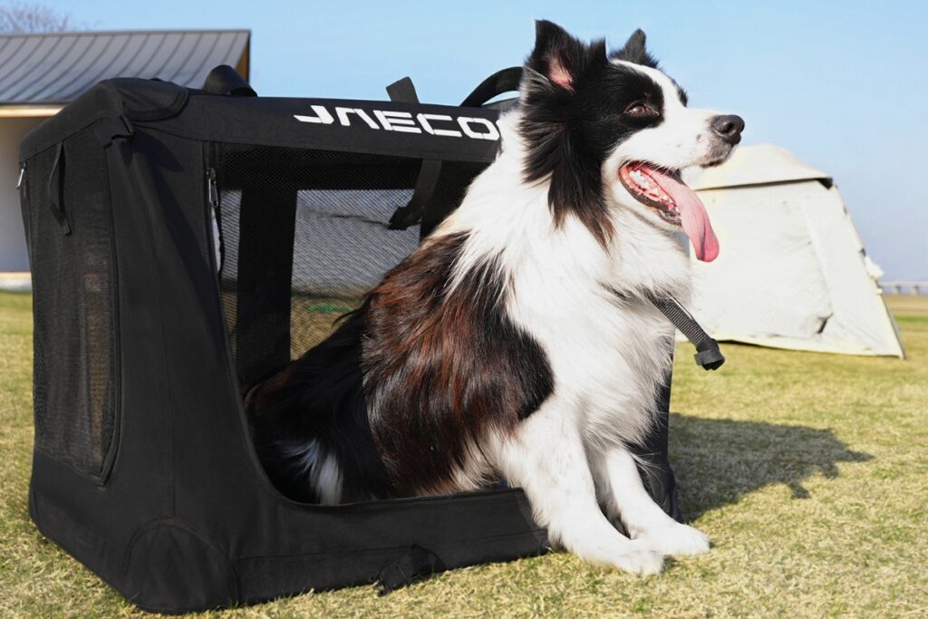 OMODA & JAECOO presentan “Car + Life”