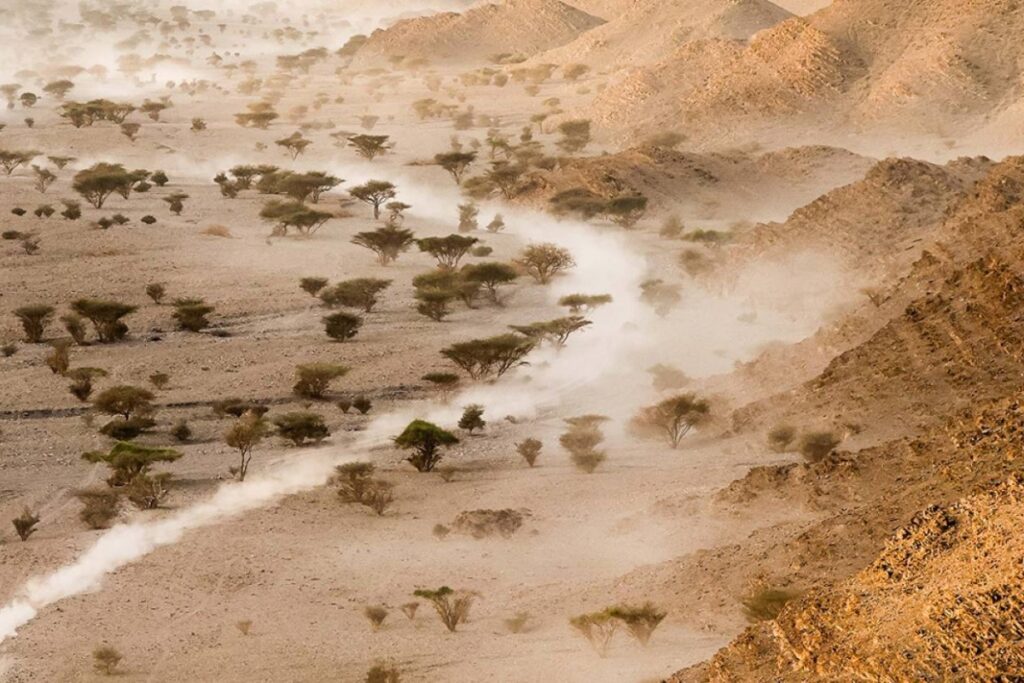 Dakar 2026 | Etapa 2: Gonçalo Guerreiro firma la actuación del día en el Dakar