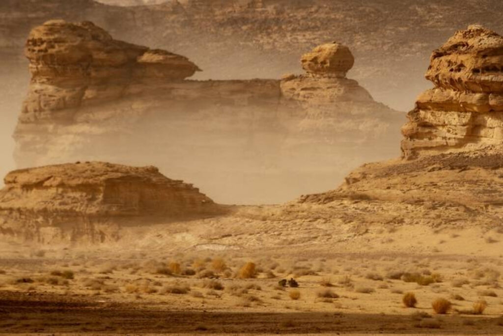 Dakar 2026 | Etapa 3: la actuación del día es para Ford